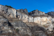 IMG-2254