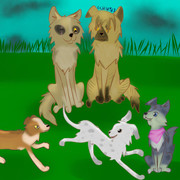 Gulzar, Iseul, Mazin, Kasai and Raiden