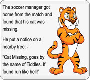 https://i.postimg.cc/mcj2fH7j/Tiddles-Cat-01.jpg