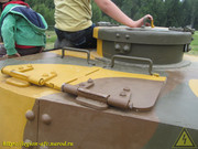 IMG-6610
