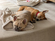 PXL-20250907-013323337