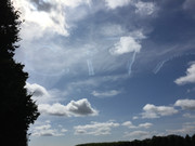 IMG-2827.jpg