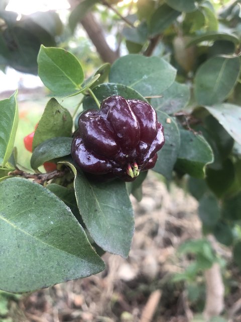 9E7606EE-49BA-4057-85E4-2406C43CA357