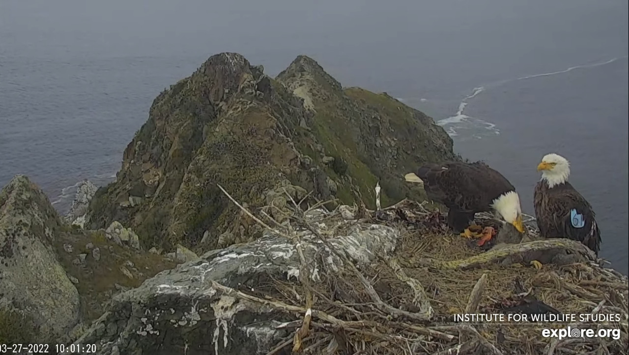 ECB17858-07B1-41FC-8E27-120C983DC5A9