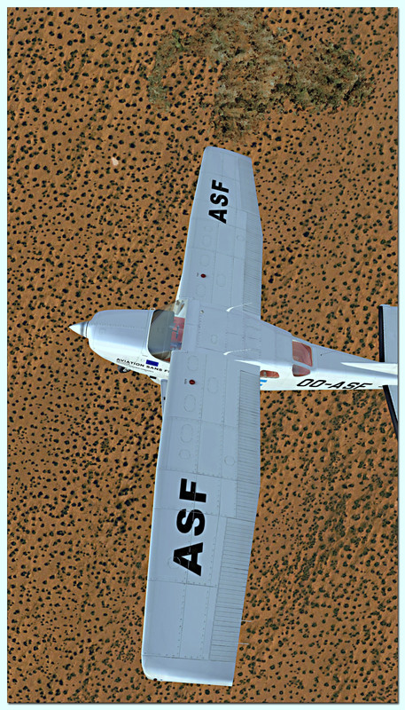 a9.jpg