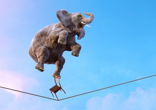 Elephant balancing on a rope.