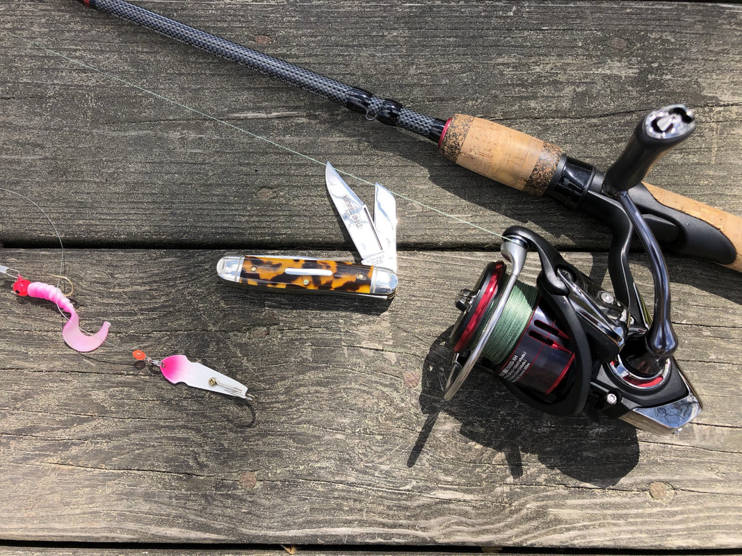 GEC-661317-shad-fishing.jpg