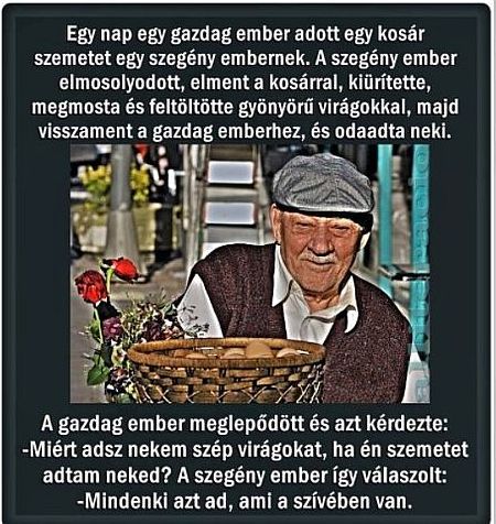 https://i.postimg.cc/mg1FS7Z5/gazdagember-szegenyember.jpg