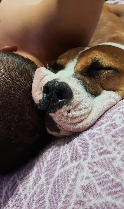 7A9A0D08-8439-4C4A-BC8A-EA65118A7EF5