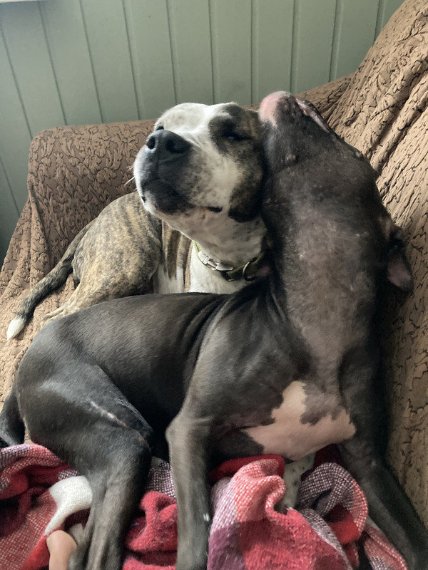 6D4D63F2-5F1F-40DF-B9EE-34489C32606B