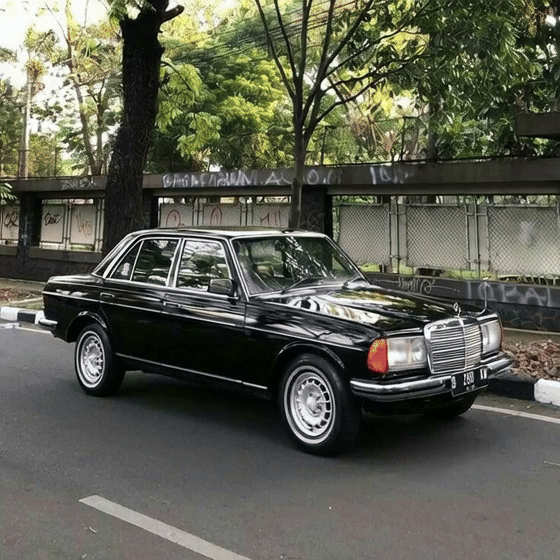 [Image: giff-119.gif]