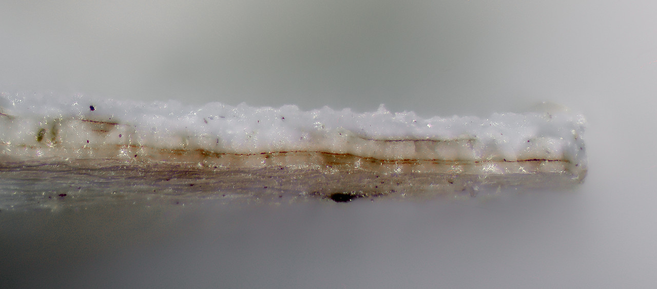 coupe_coquille_x10 bar