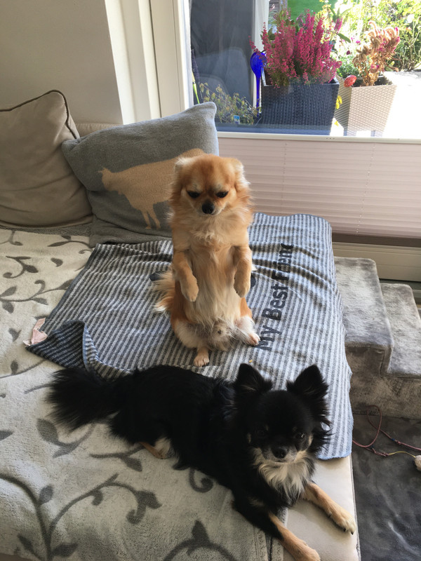 D3FB2809-E16C-4AE6-BD4F-81DD3FBB49D7