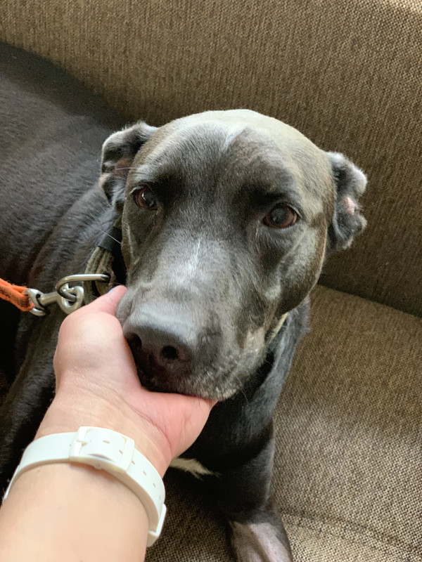 FD703B3E-4A58-4865-A4F4-49F2546DF4BC