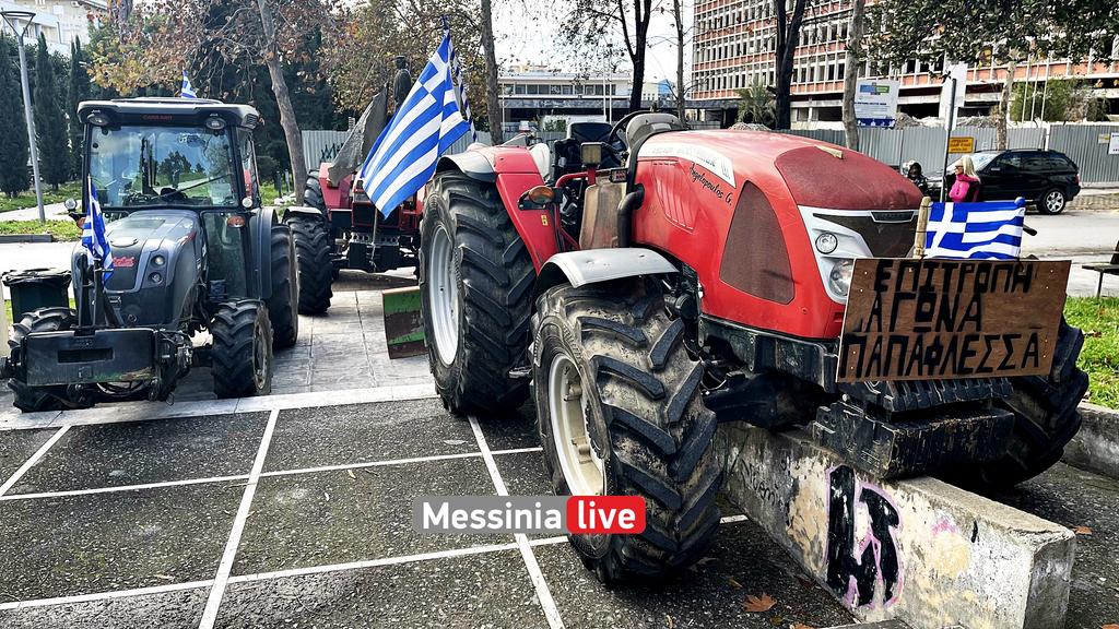 AGROTES-DIKASTHRIAIMG-1296