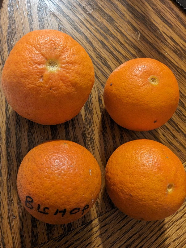PXL_20231211_215329942