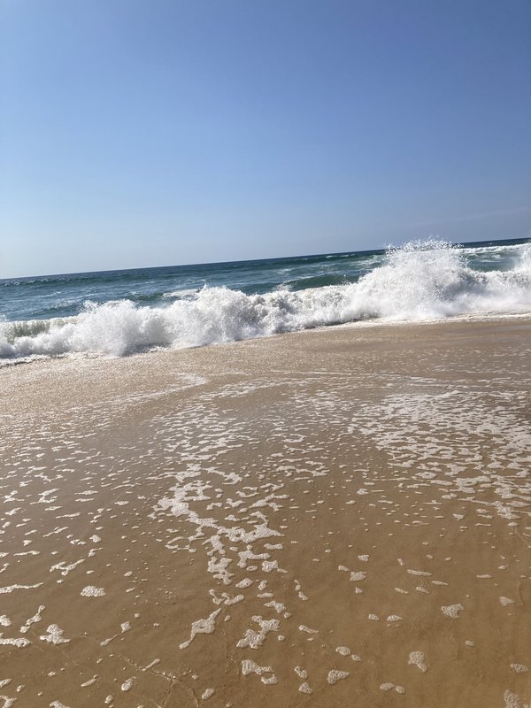 [Image: IMG-2464.jpg]