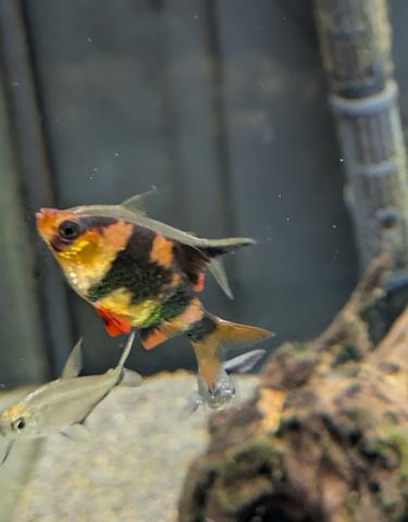 PXL 20260201 170532822