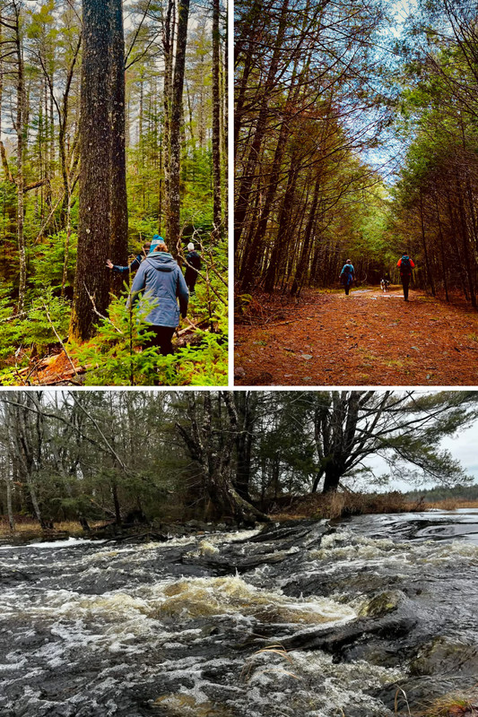 Heritage Day Hike at Birchdale
