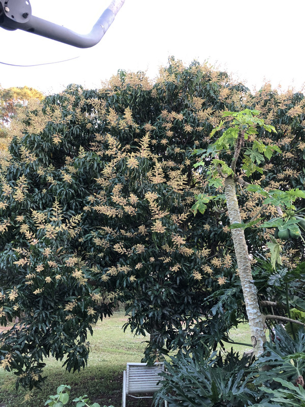 78F6F971-8C60-4EB8-AF6F-8CE687FCFB0E