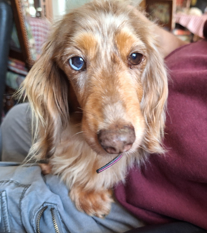 [Image: 20240428-171417.jpg]