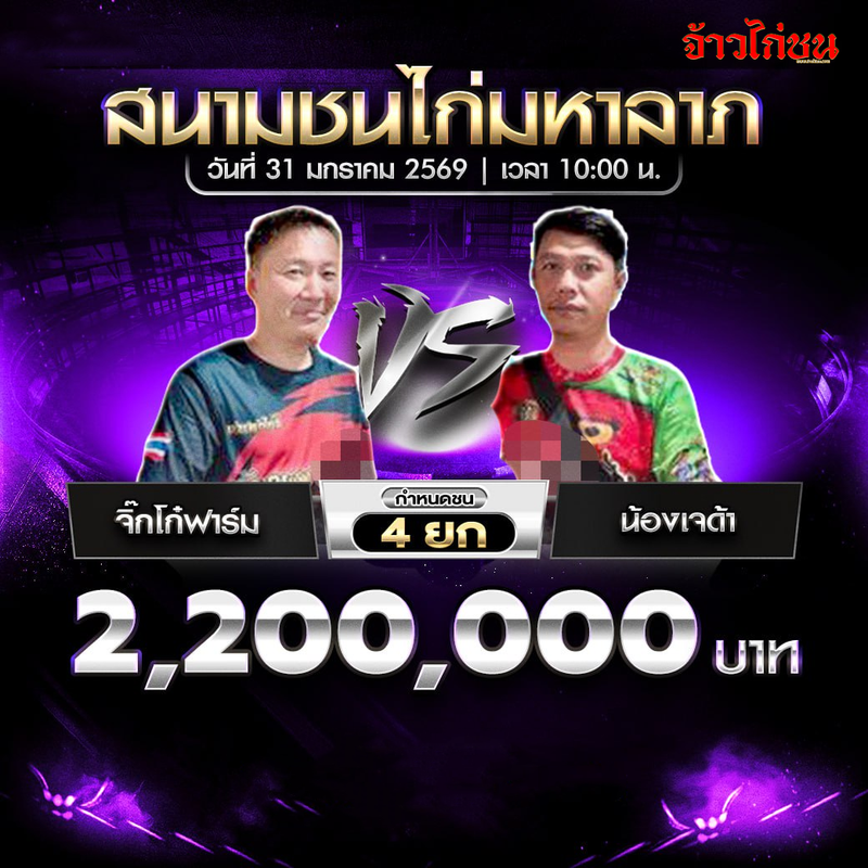 โปรแกรมไก่ชน คู่เด่น จิ๊กโก๋ฟาร์ม พบ น้องเจด้า สนามชนไก่มหาลาภ 31 มกราคม 2569