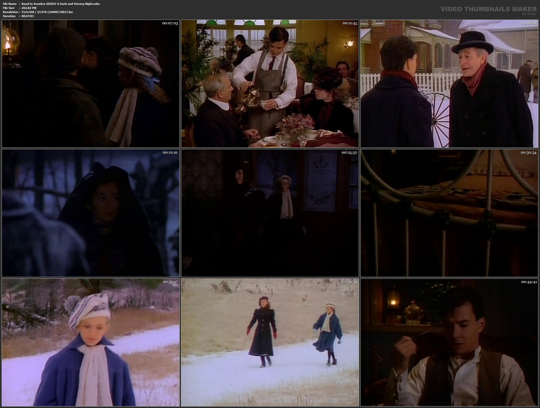 Road to Avonlea S03E07 A Dark and Stormy Night.mkv