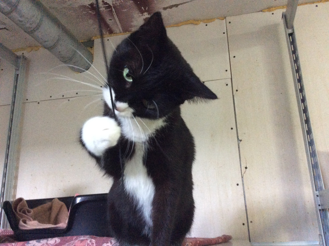 3D0A52F7-8C95-4AD2-8CDE-3573F5321BDE