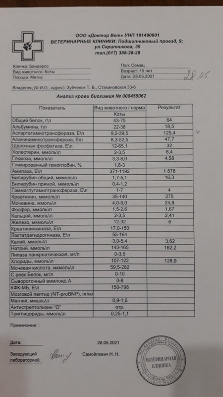 FC4A25C3-9907-42FA-8D03-7276995015FF