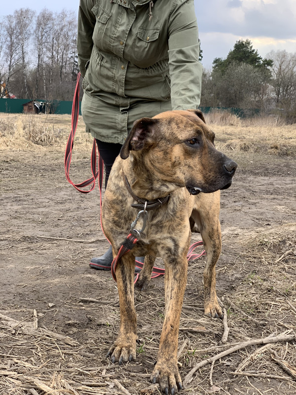 image-09-04-23-05-34-7 (1)