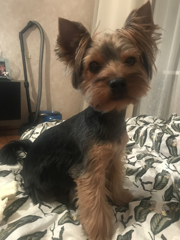 AC8CABAB-94E0-4C68-849D-46AD278439D5