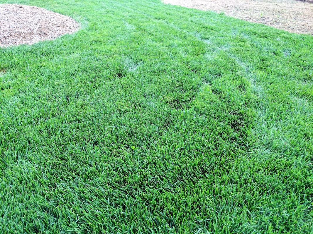 Optimized-IMG_20170726_204157