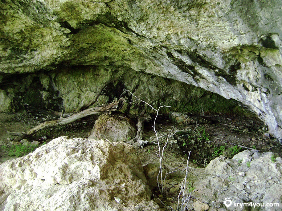 big_86443275070_1449939336