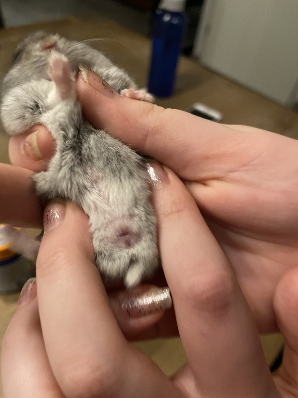 E780E763-F26D-43A1-AA92-4F1F01CDB79E