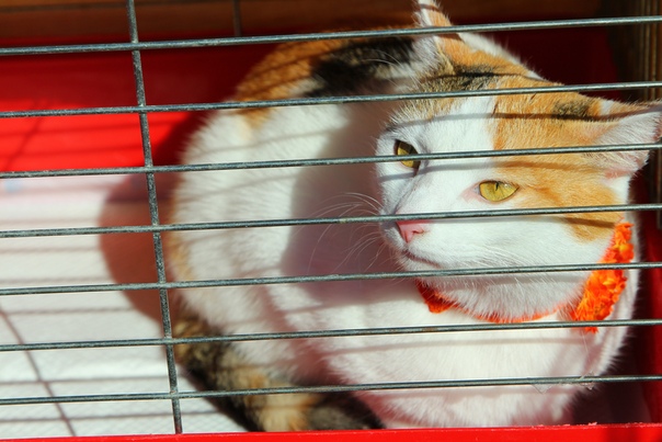 5F83F991-264C-4350-9C8C-B54CA3CF8929