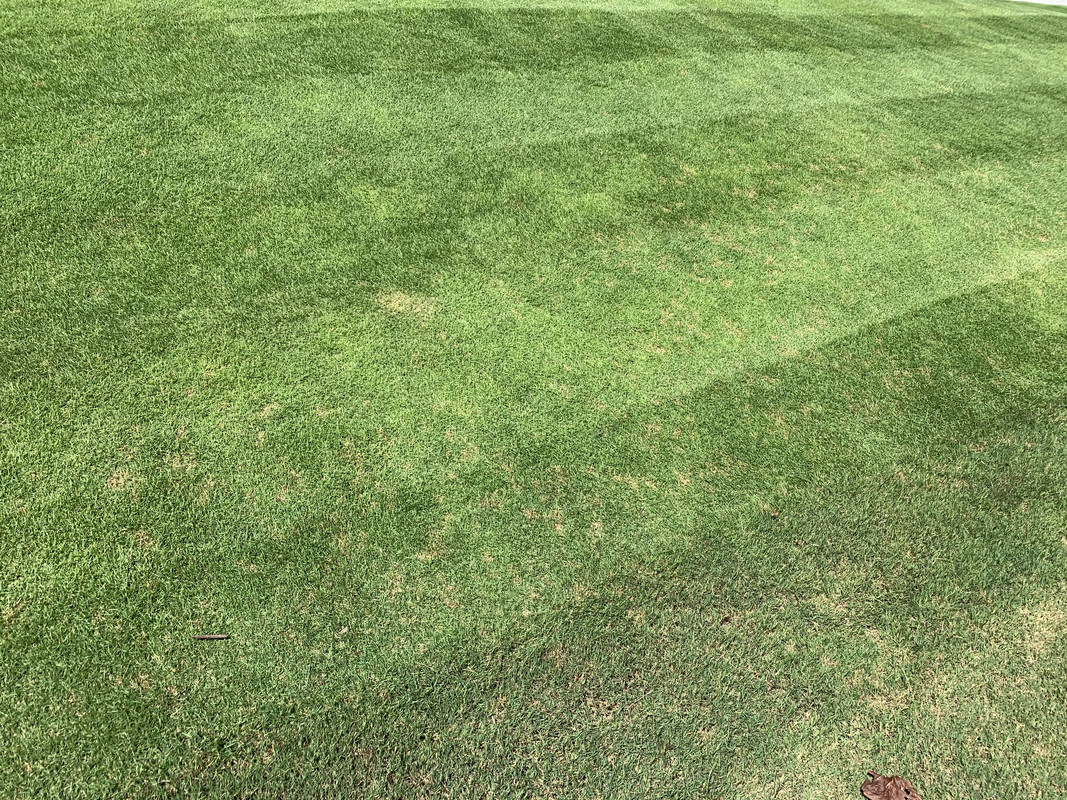 3AD70871-C7DA-4AD8-B9D3-7E7B2A599110