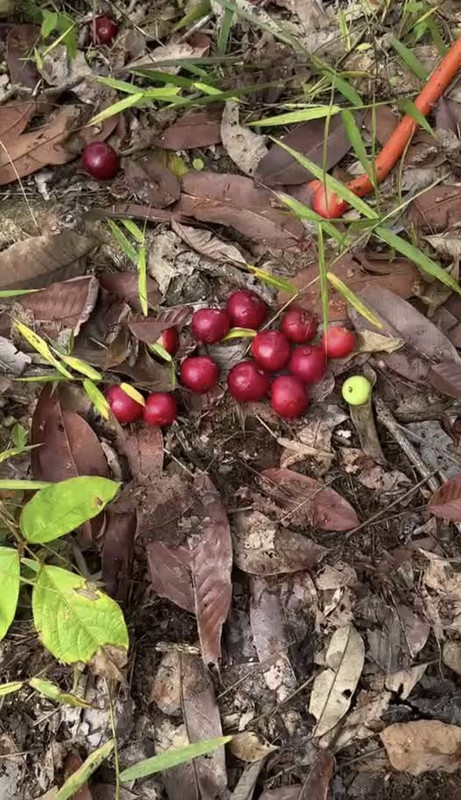 583222540 2135214537011179 1179330363159145160 n