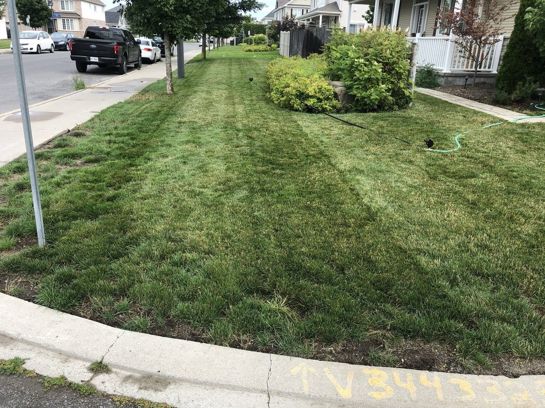 D0B0C3CA-CC04-42AB-BE9C-0113765CC74E