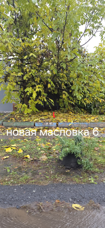 20251021_162653