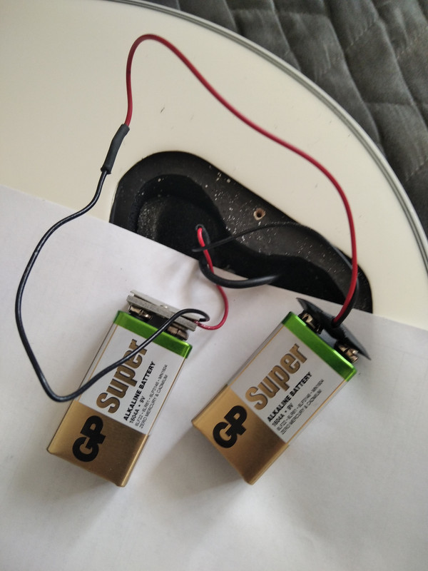 IMG_20231004_120349_2