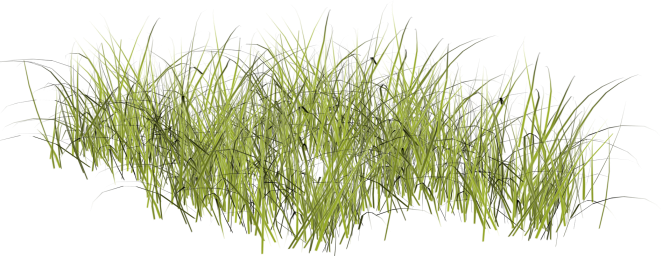 GBD_Lbe5