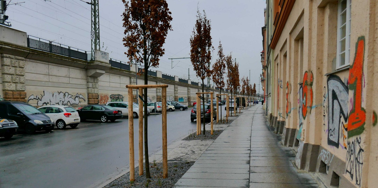P1130823.jpg
