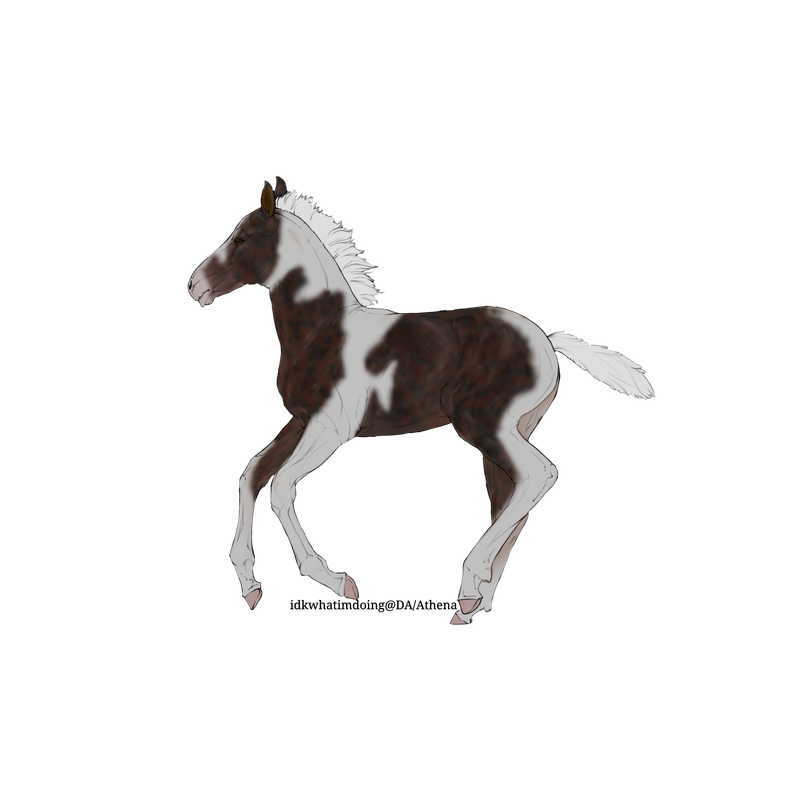 Untitled88-20250713204732.png