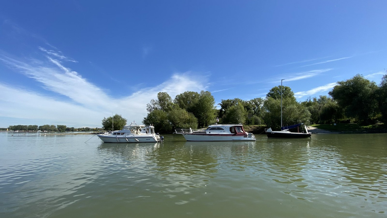 C576ACC1-CFB6-4242-85EA-759ADCF63D5D