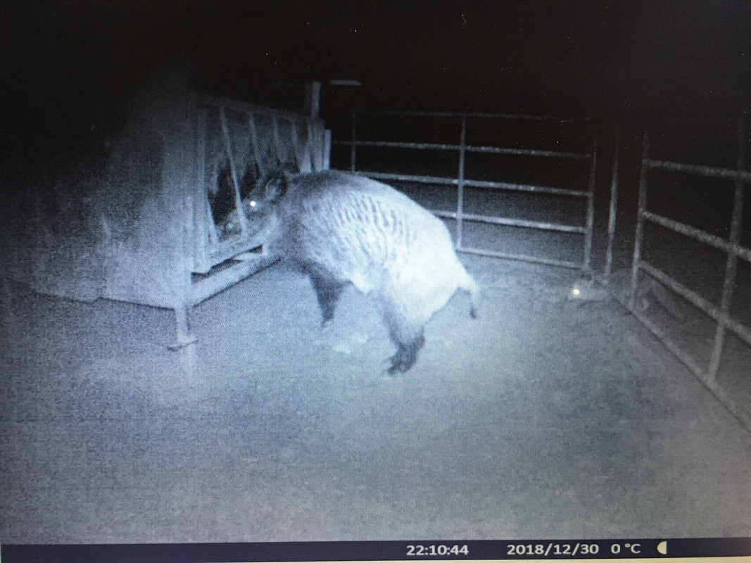 3B4B9D79-933B-49F5-AABD-338968CC9A9A