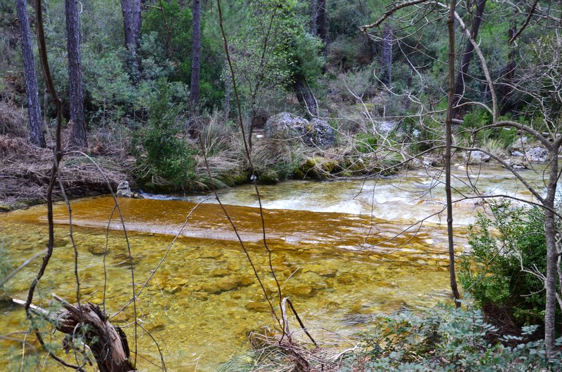 RUTA RIO BOROSA-12-3-2016-JAEN - Paseando por España-1991/2016 (209)