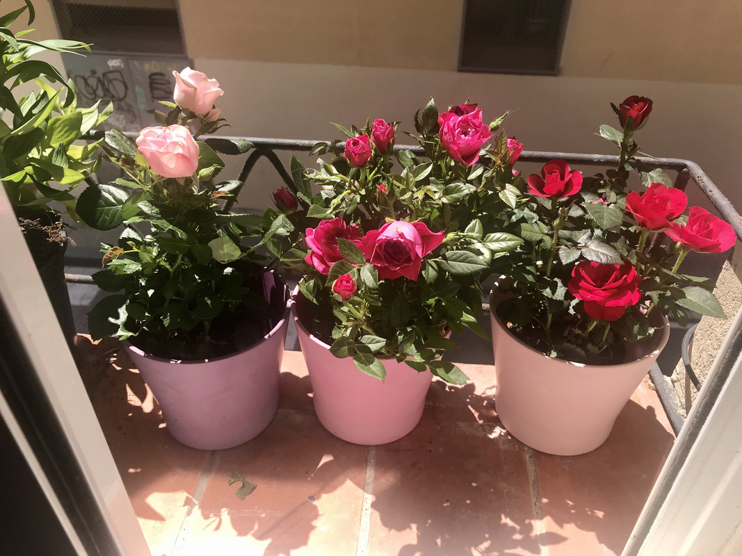 5BEF4E91-F9B6-427D-8103-43F48D40E804