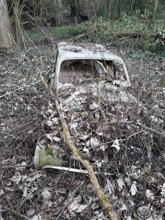 413693804-renault-4l (2)