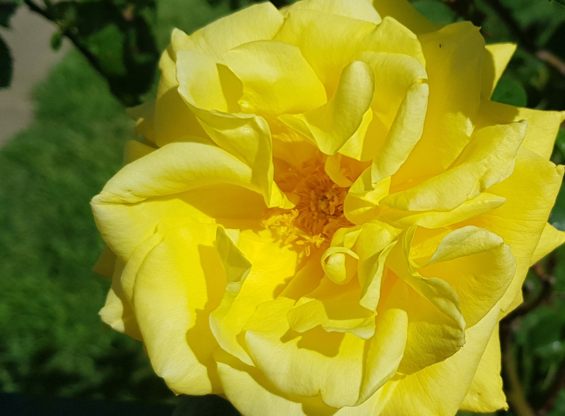 [Image: 20200422-121600.jpg]