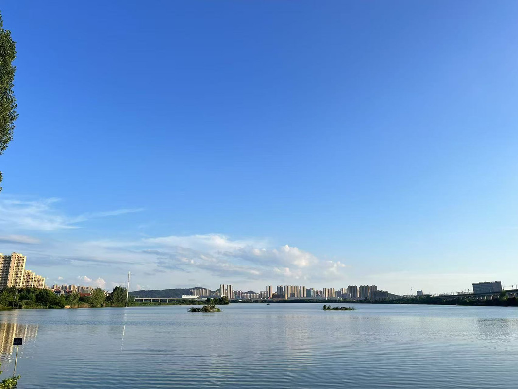 汤逊湖夏日.jpg